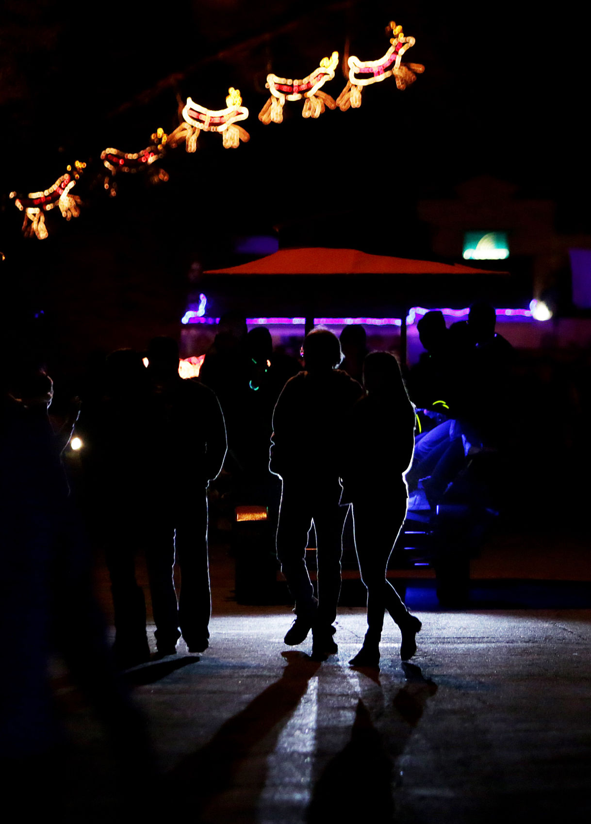 2016 Winterhaven Festival of Lights